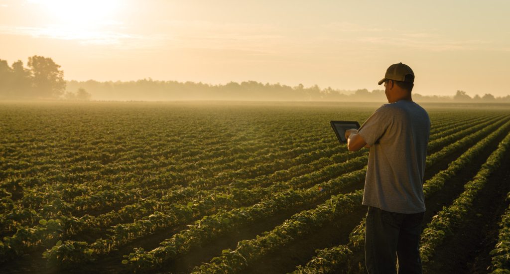 tecnico_agricola_mercado-1024x683